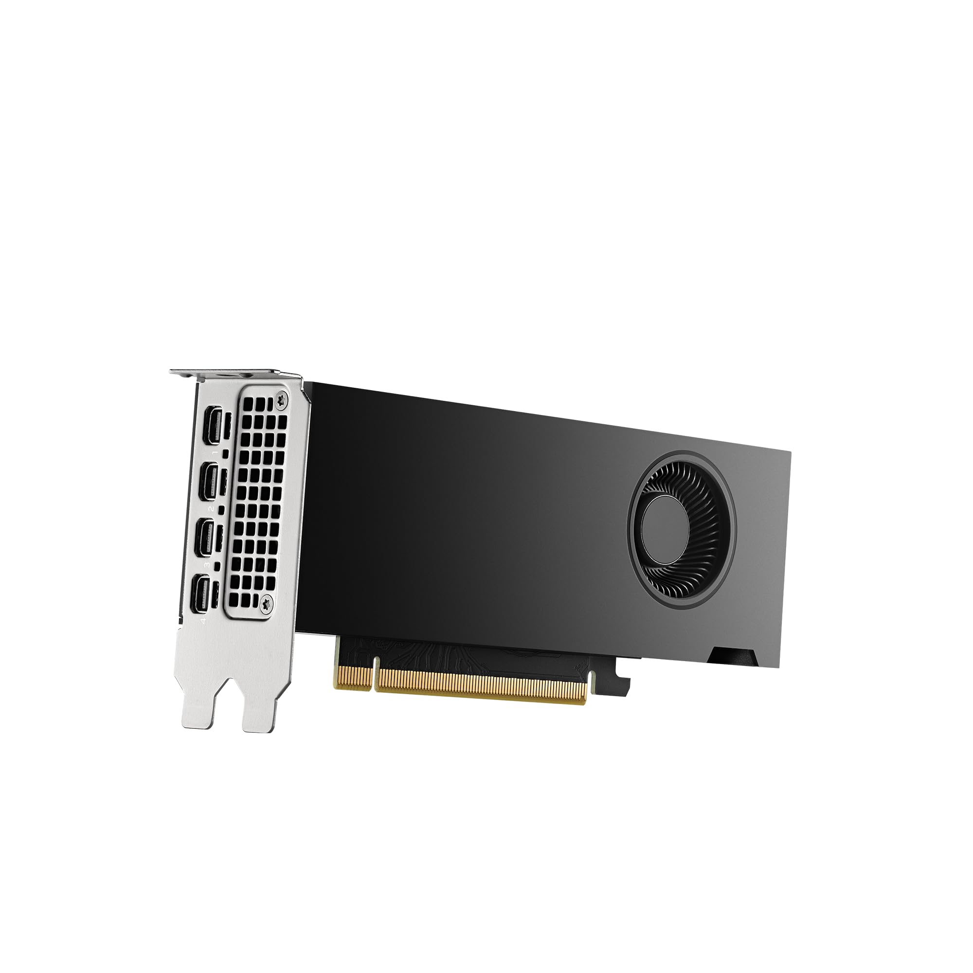 pny-nvidia-rtx-2000-ada-16go-gddr6-ecc-carte-graphique-professionnelle image 2