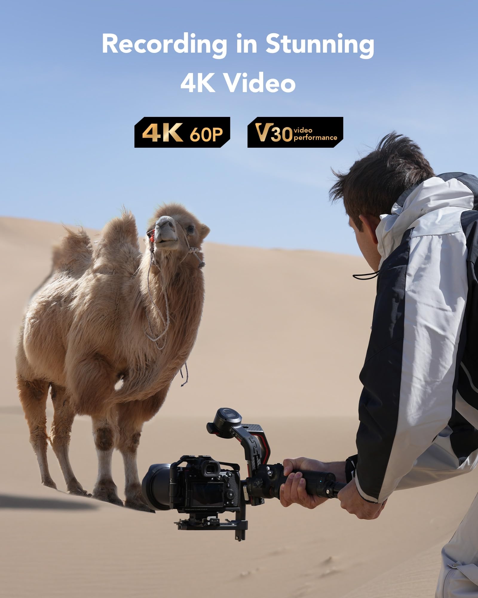 lexar-silver-carte-sdxc-64-go-uhs-i-v30-4k-uhd-205-mo-s image 4