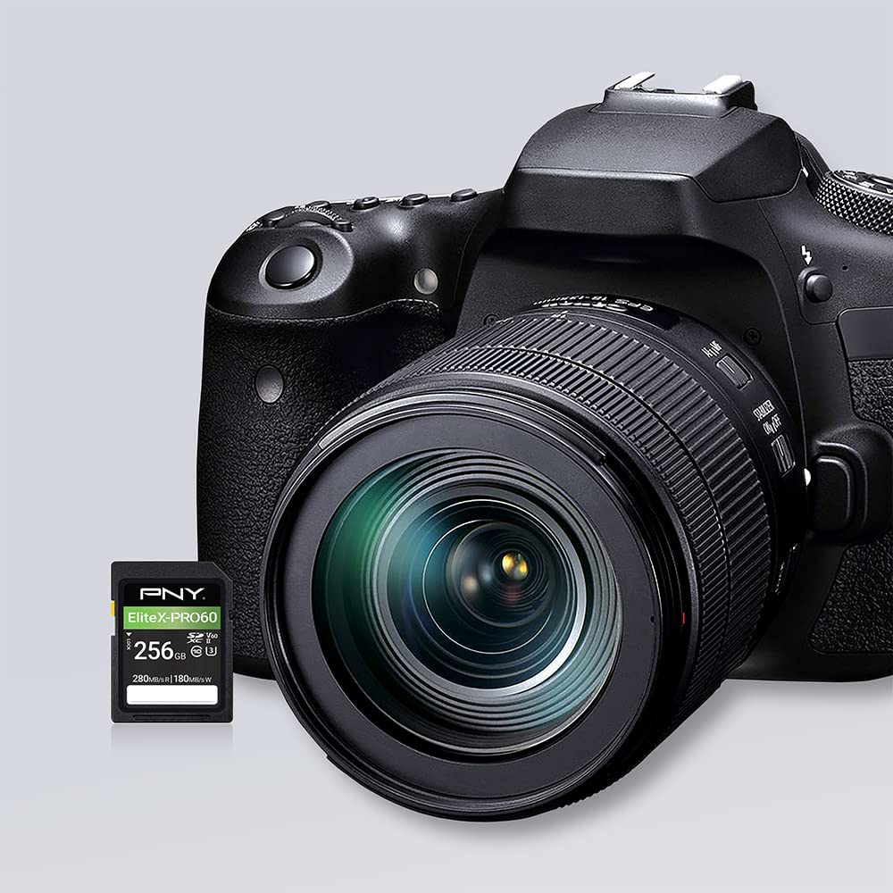 pny-elitex-pro60-sdxc-256go-uhs-ii-u3-v60-280-mo-s image 7